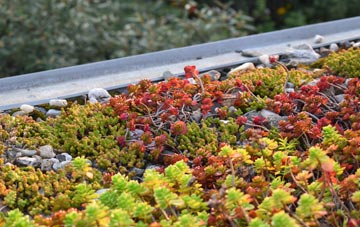 the cost of Waytown green roof installation