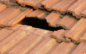 roof repair Waytown